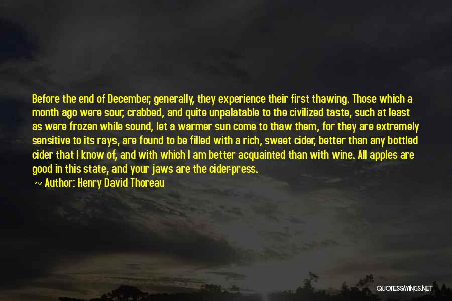 December Month Quotes By Henry David Thoreau
