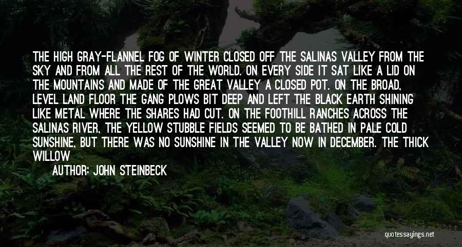 December Rain Quotes By John Steinbeck