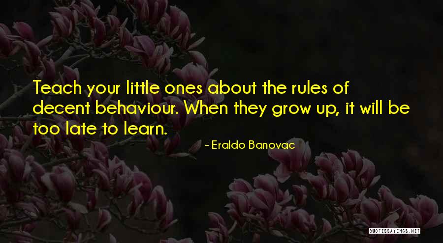 Decent Life Quotes By Eraldo Banovac