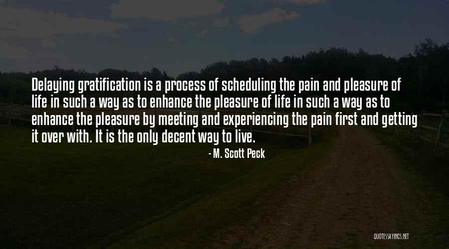 Decent Life Quotes By M. Scott Peck