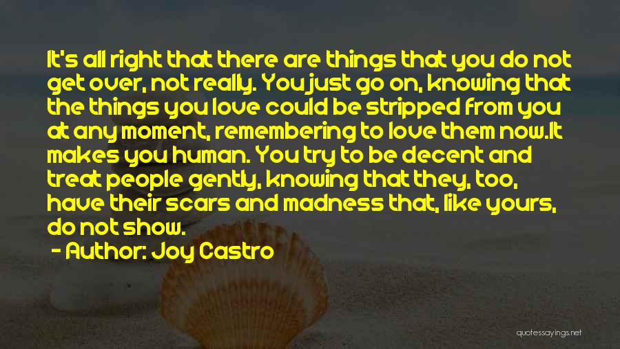 Decent Quotes By Joy Castro