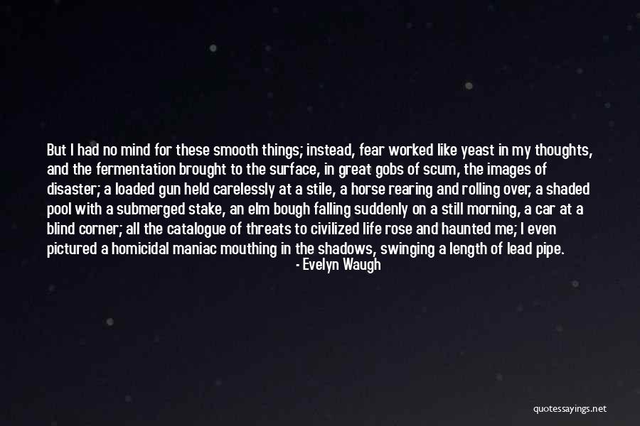 Decerebrate Posturing Quotes By Evelyn Waugh Decerebrate Posturing Quotes By Evelyn Waugh