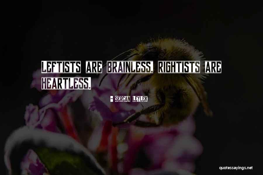 Dechecos Akron Quotes By Sercan Leylek Dechecos Akron Quotes By Sercan Leylek