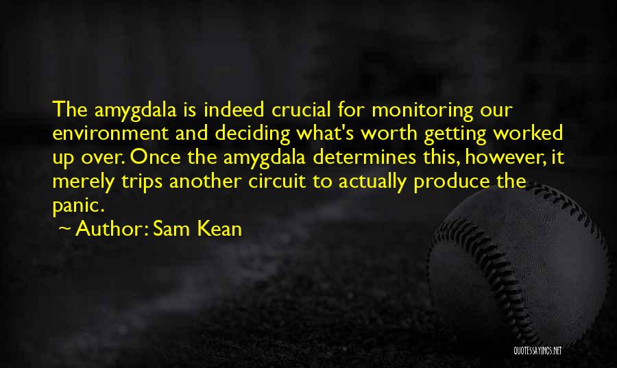 Deciding Quotes By Sam Kean