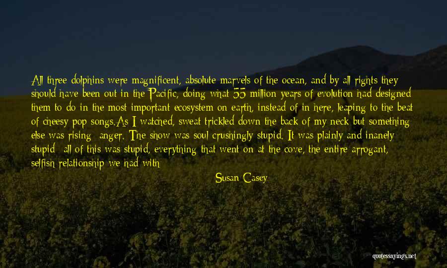Deciding What's Important Quotes By Susan Casey Deciding What's Important Quotes By Susan Casey