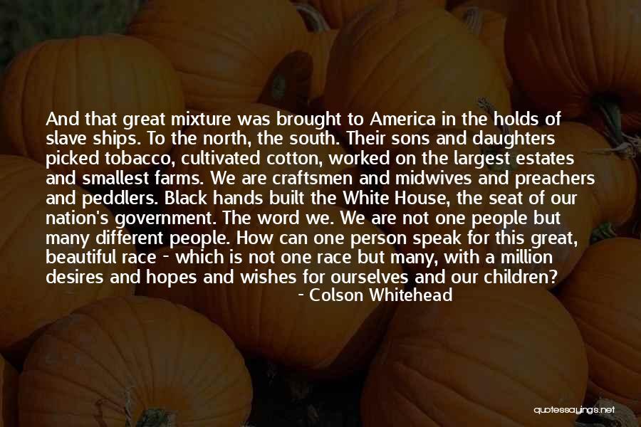 Decimi Olive Oil Quotes By Colson Whitehead Decimi Olive Oil Quotes By Colson Whitehead