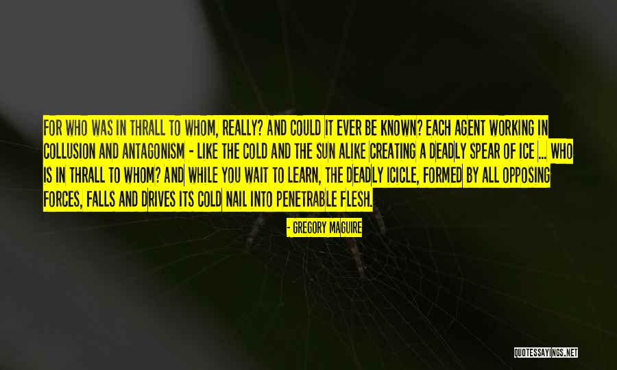 Decimus Halo Quotes By Gregory Maguire Decimus Halo Quotes By Gregory Maguire