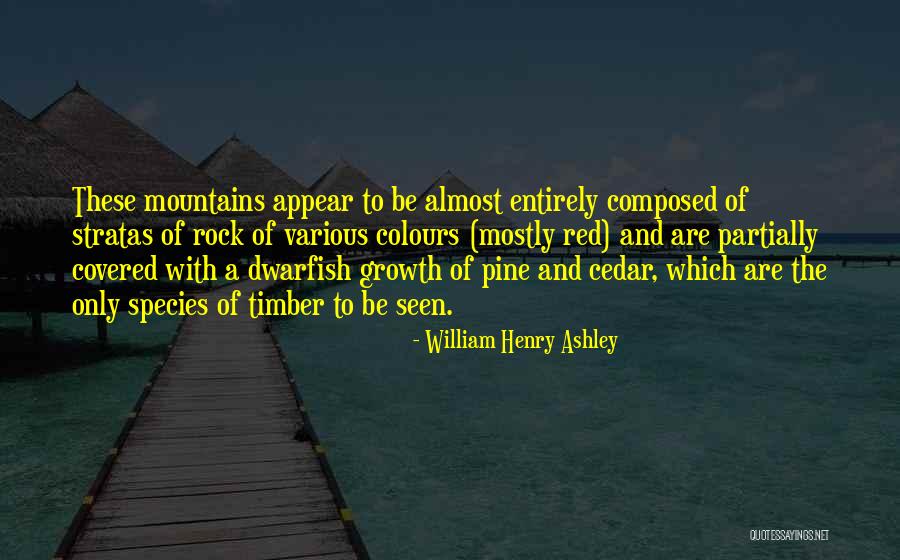 Decision Making Between Work Family Quotes By William Henry Ashley Decision Making Between Work Family Quotes By William Henry Ashley