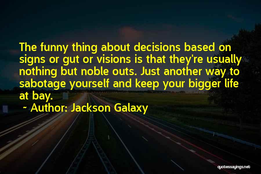 Decisions Funny Quotes By Jackson Galaxy