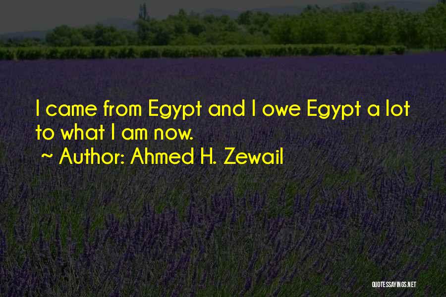 Deck Staining Quotes By Ahmed H. Zewail