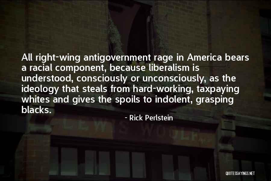 Decken Helmet Quotes By Rick Perlstein Decken Helmet Quotes By Rick Perlstein