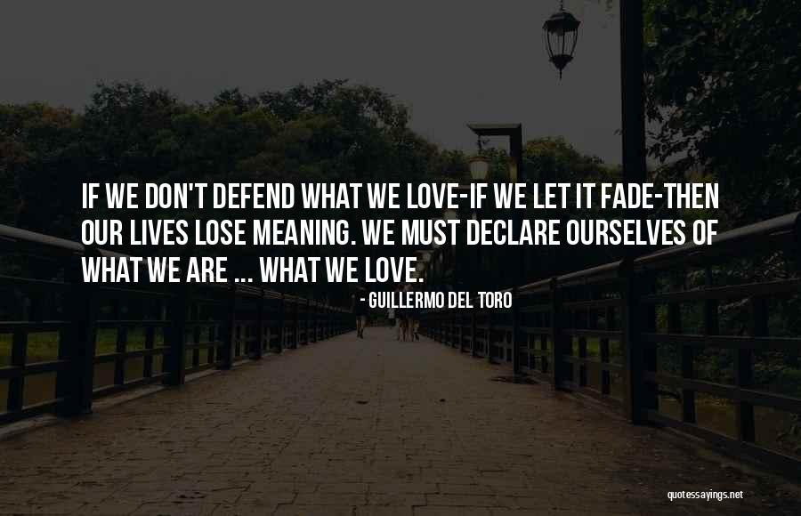 Declare Love Quotes By Guillermo Del Toro