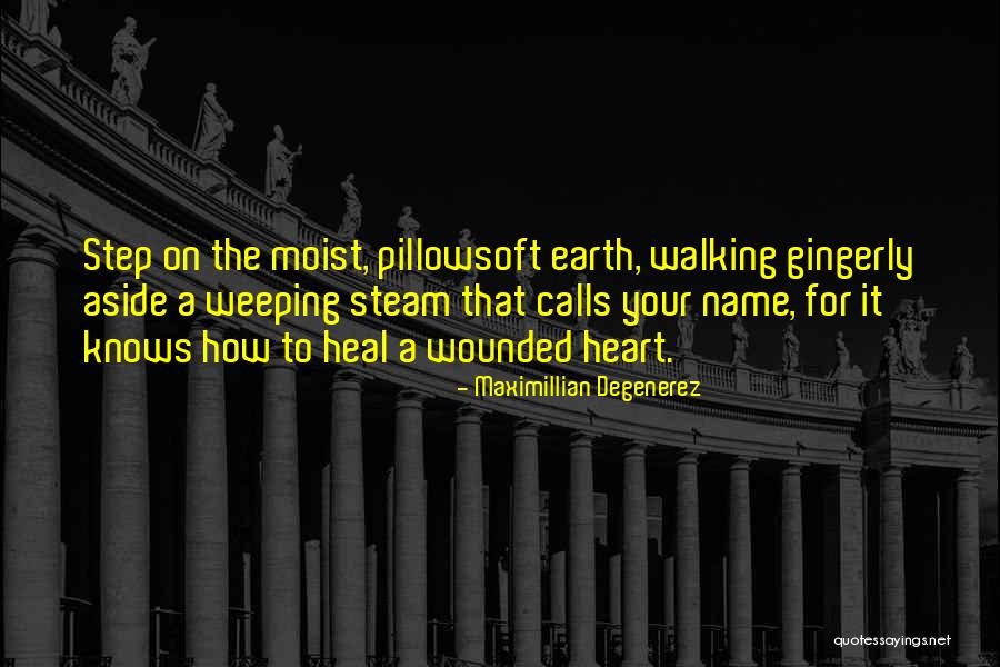 Declenchement Accouchement Quotes By Maximillian Degenerez Declenchement Accouchement Quotes By Maximillian Degenerez