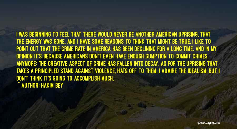 Decline Of America Quotes By Hakim Bey