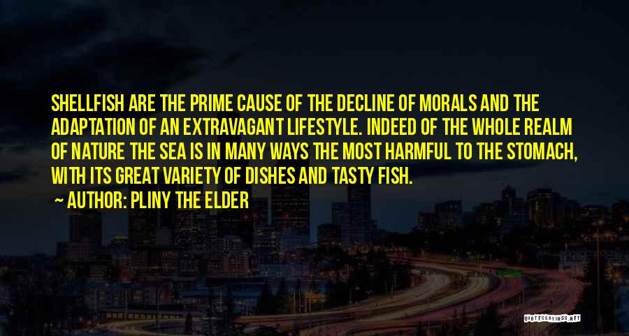 Decline Of Morals Quotes By Pliny The Elder