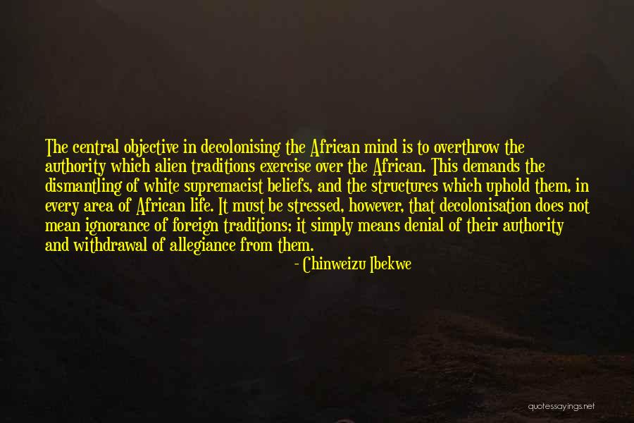 Decolonisation Quotes By Chinweizu Ibekwe