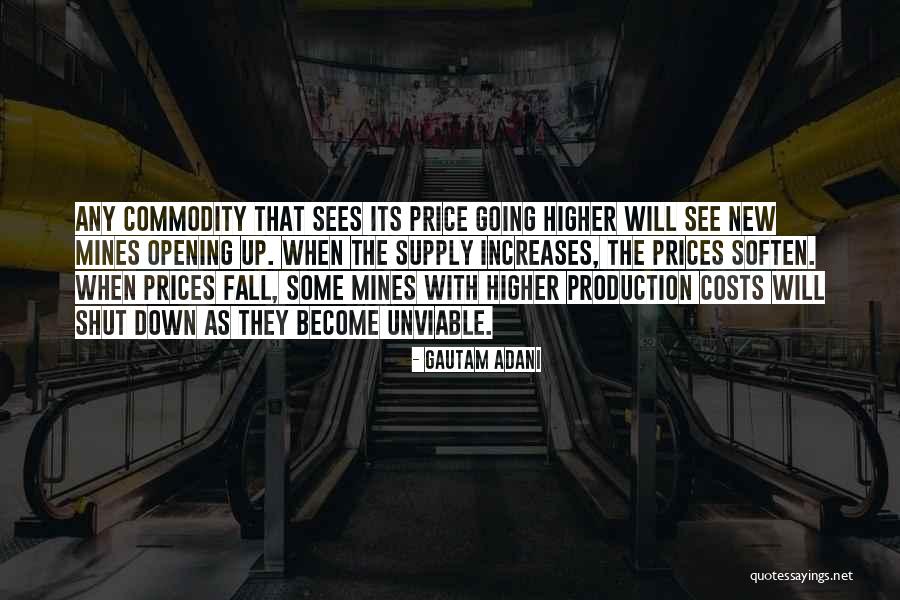 Decolte Lange Quotes By Gautam Adani Decolte Lange Quotes By Gautam Adani