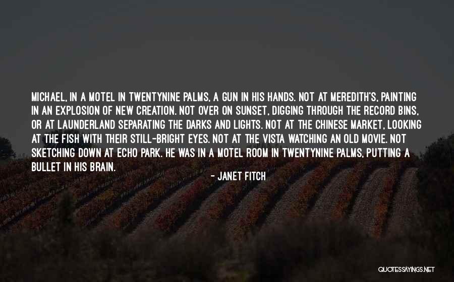 Deconinck Zwevegem Quotes By Janet Fitch Deconinck Zwevegem Quotes By Janet Fitch