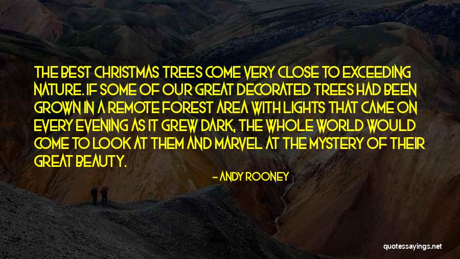 Decorated Christmas Quotes By Andy Rooney Decorated Christmas Quotes By Andy Rooney