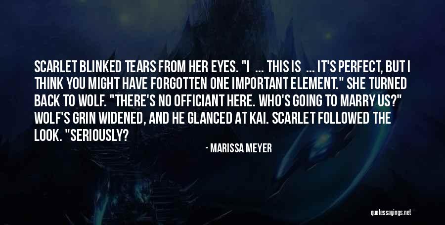 Decorator Crab Quotes By Marissa Meyer Decorator Crab Quotes By Marissa Meyer