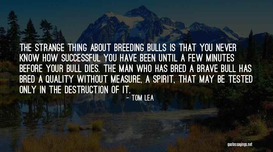 Decorte Sun Quotes By Tom Lea Decorte Sun Quotes By Tom Lea