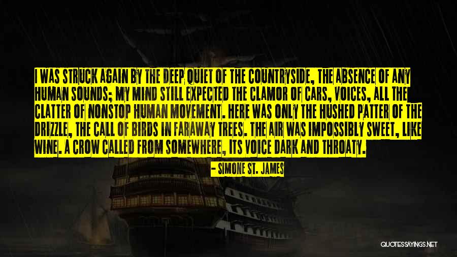 Decosky Gmc Quotes By Simone St. James Decosky Gmc Quotes By Simone St. James