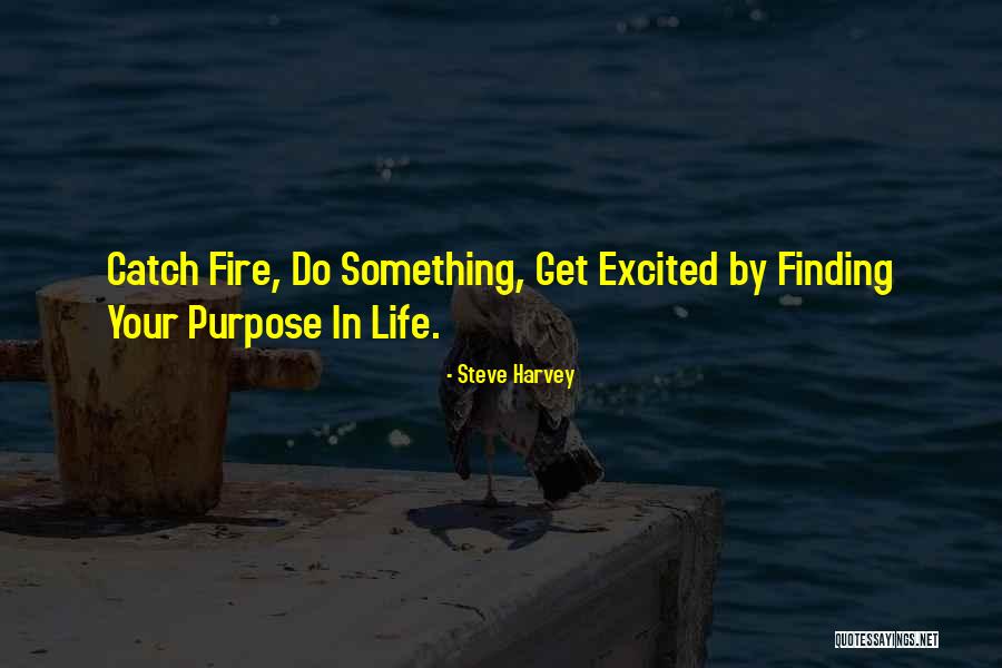 Decoys Suffolk Quotes By Steve Harvey