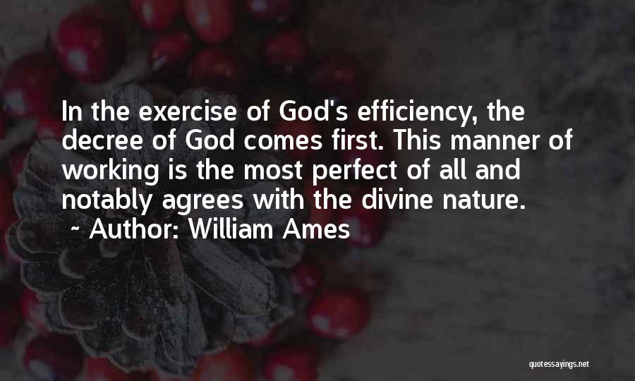 Decree Quotes By William Ames