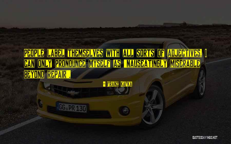 Decriminalised Parking Quotes By Franz Kafka Decriminalised Parking Quotes By Franz Kafka