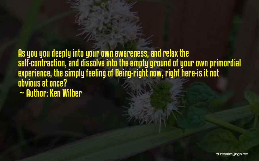 Decrying Def Quotes By Ken Wilber