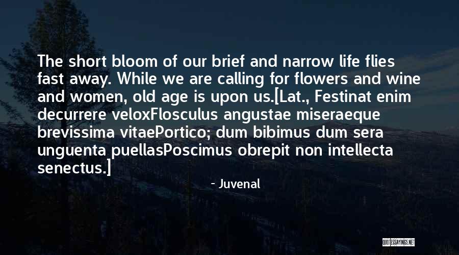 Decurrere Quotes By Juvenal Decurrere Quotes By Juvenal