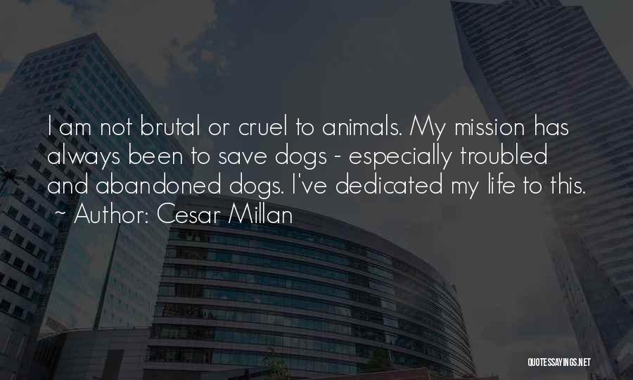 Dedicated Quotes By Cesar Millan