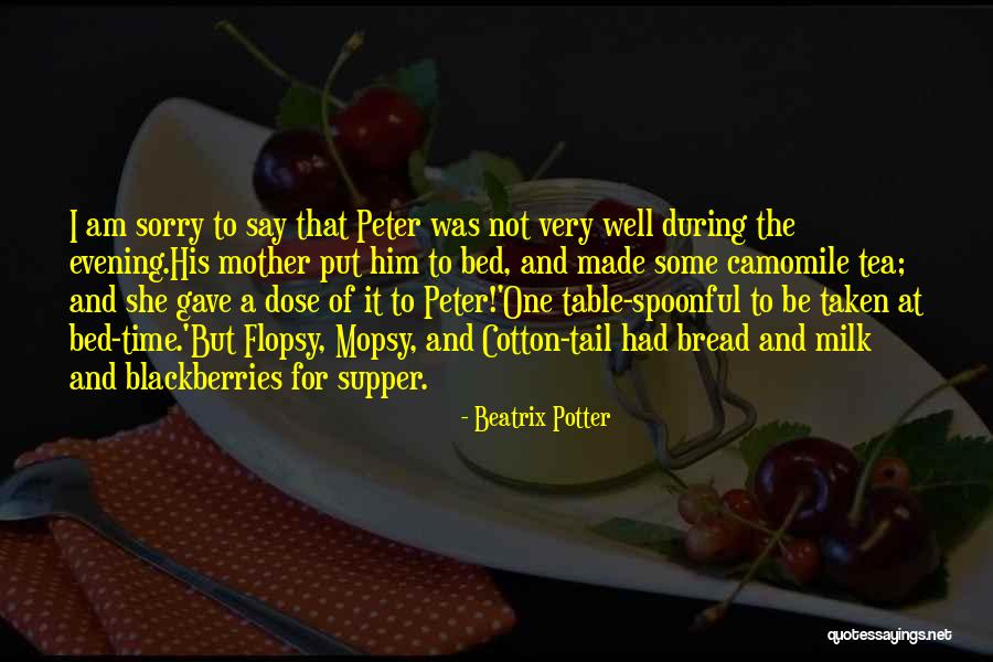 Dedizione Significato Quotes By Beatrix Potter Dedizione Significato Quotes By Beatrix Potter