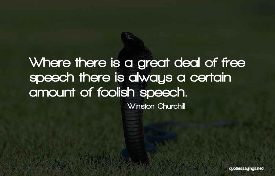 Dedukcija Znacenje Quotes By Winston Churchill Dedukcija Znacenje Quotes By Winston Churchill