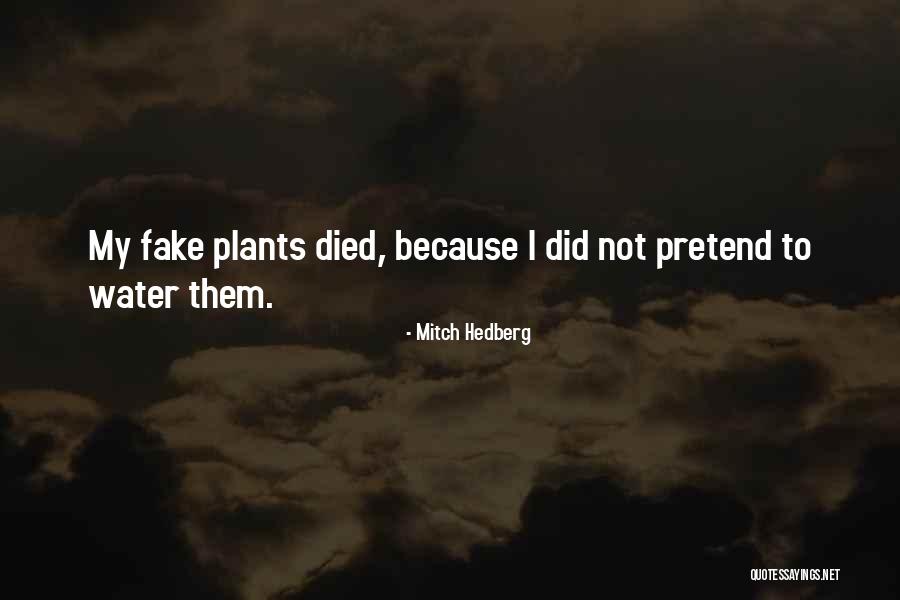 Dee Snider's Strangeland Quotes By Mitch Hedberg Dee Snider's Strangeland Quotes By Mitch Hedberg