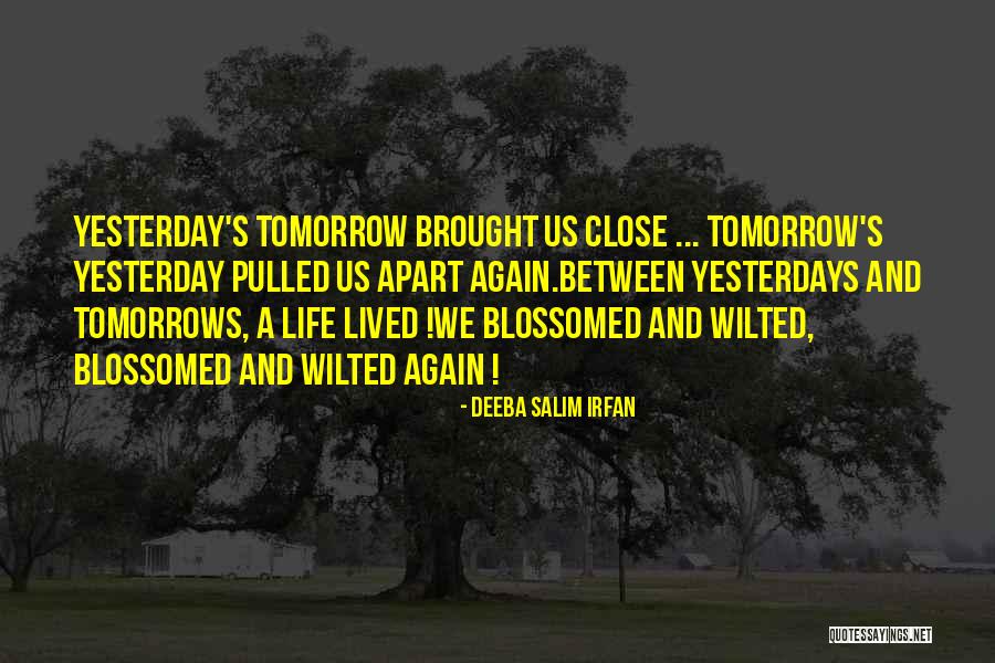 Deeba Salim Irfan Quotes 1113846 Deeba Salim Irfan Quotes 1113846