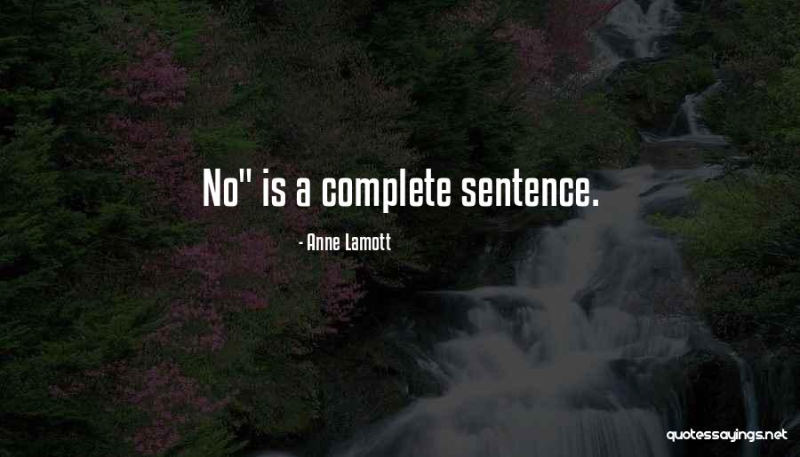 Deedat Ahmed Quotes By Anne Lamott Deedat Ahmed Quotes By Anne Lamott