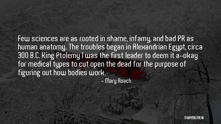 Deem Quotes By Mary Roach Deem Quotes By Mary Roach