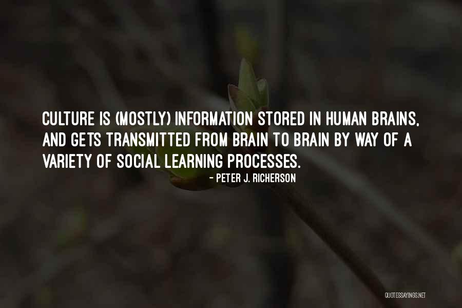 Deenene Quotes By Peter J. Richerson Deenene Quotes By Peter J. Richerson
