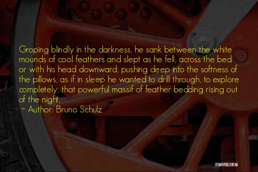 Deep And Powerful Quotes By Bruno Schulz