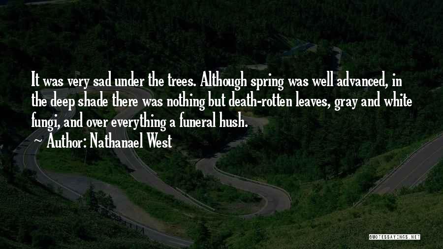 Deep And Sad Quotes By Nathanael West