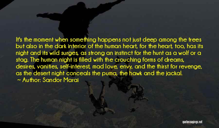 Deep And Strong Love Quotes By Sandor Marai