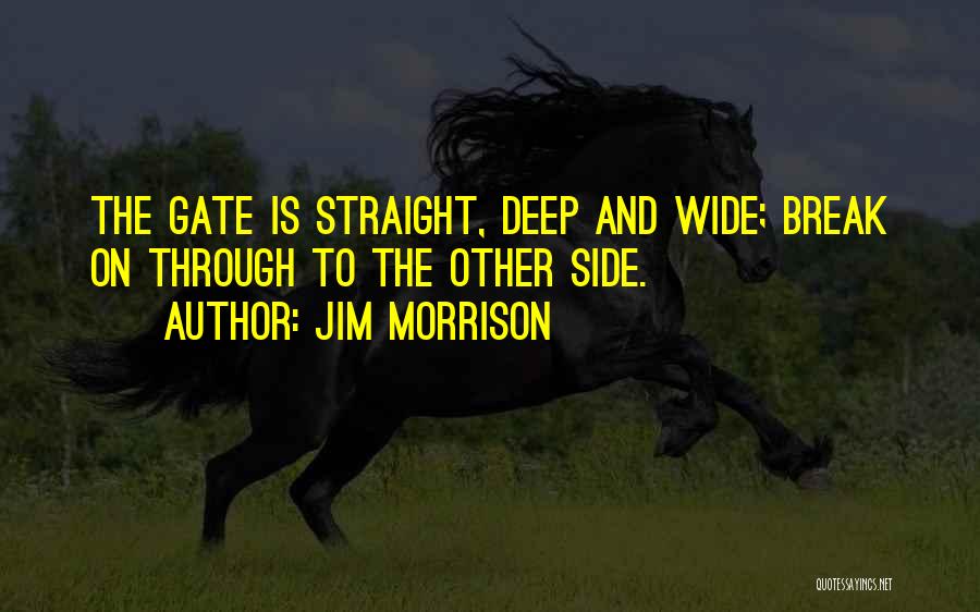 Deep And Wide Quotes By Jim Morrison