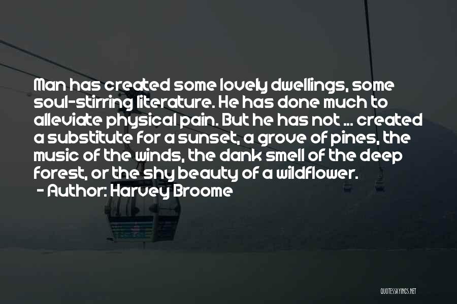 Deep Beauty Quotes By Harvey Broome
