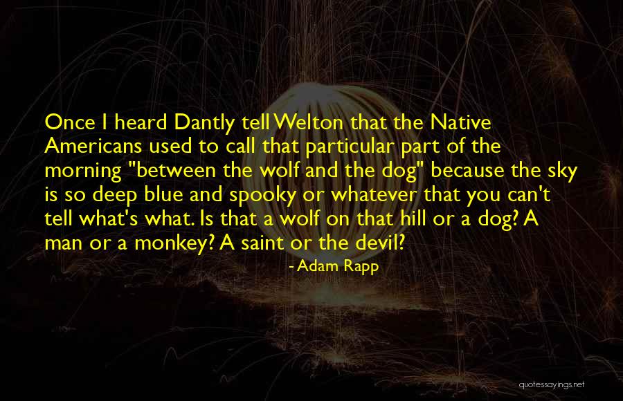 Deep Blue Sky Quotes By Adam Rapp Deep Blue Sky Quotes By Adam Rapp