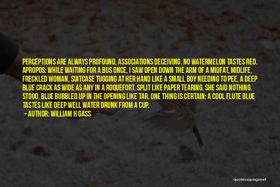 Deep Blue Water Quotes By William H Gass