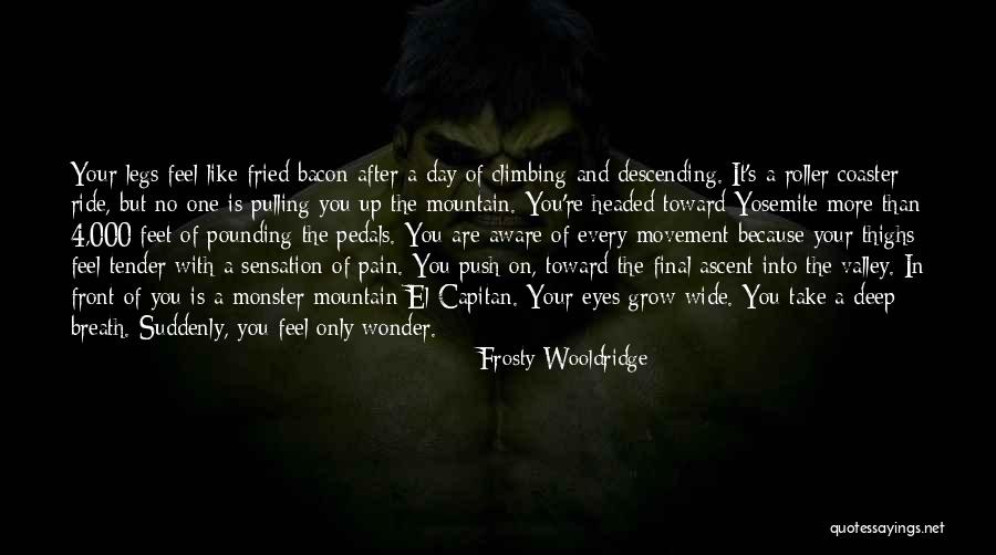 Deep But Quotes By Frosty Wooldridge Deep But Quotes By Frosty Wooldridge