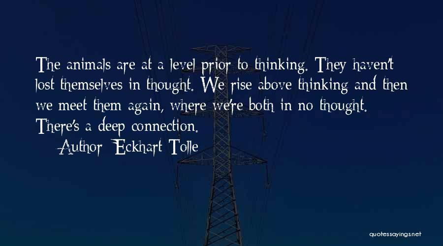 Deep Connections Quotes By Eckhart Tolle