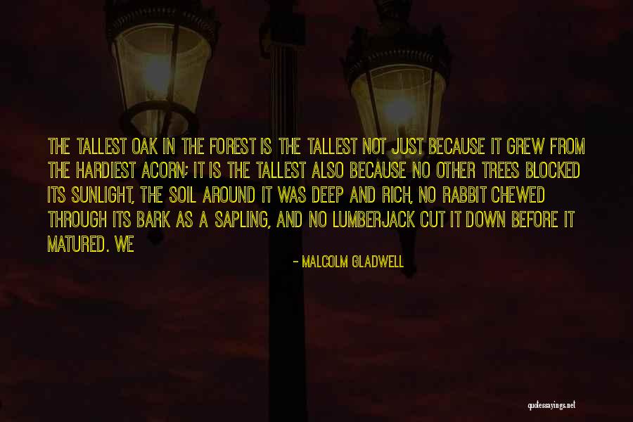 Deep Cut Quotes By Malcolm Gladwell Deep Cut Quotes By Malcolm Gladwell