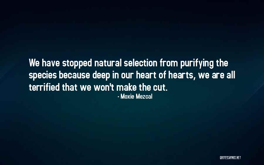 Deep Cut Quotes By Moxie Mezcal Deep Cut Quotes By Moxie Mezcal